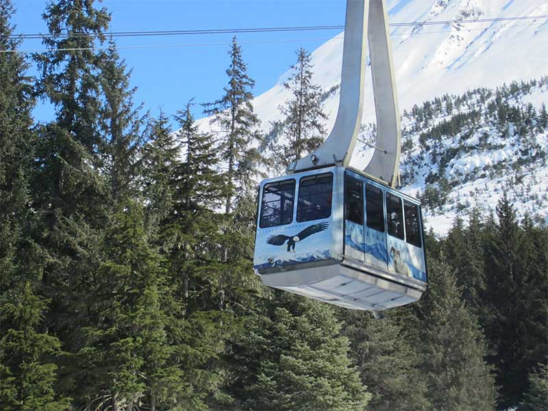 Alaska's Finest Tours & Adventures