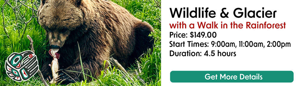 Wildlife and Glaciers with a Walk in the Rainforest